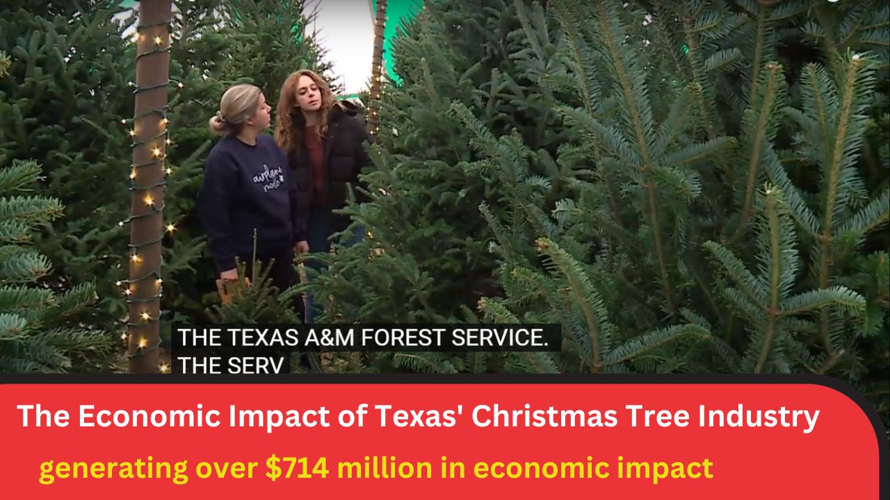 The Economic Impact of Texas' Christmas Tree Industry